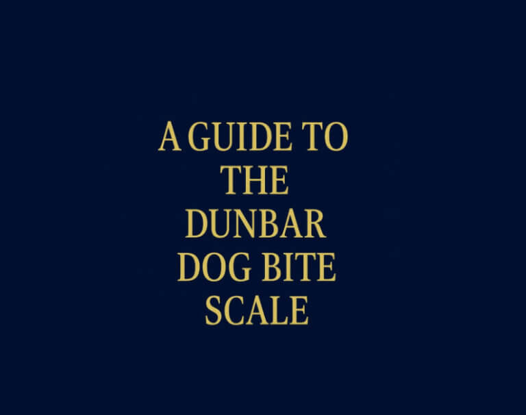 Dunbar Dog Bite Scale Guide