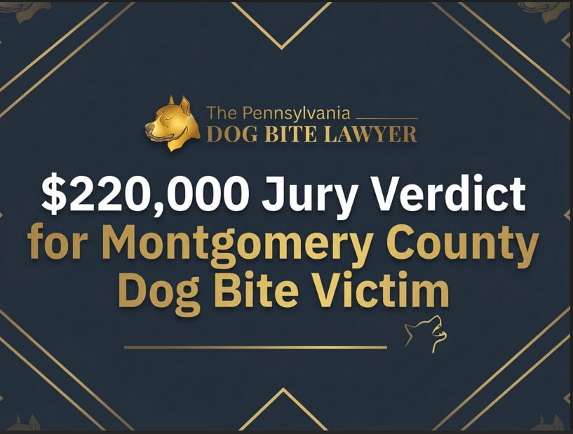 Dog Bite Montgomery County - Blog Title Card
